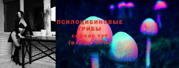 гидра Арсеньев