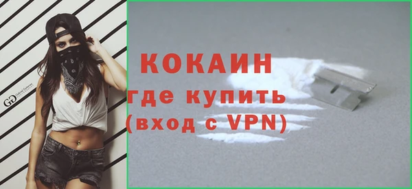 гидра Арсеньев