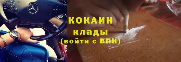 гидра Арсеньев