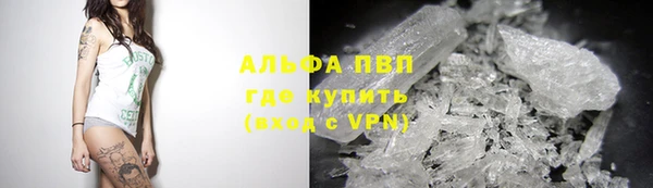 ПСИЛОЦИБИНОВЫЕ ГРИБЫ Армянск