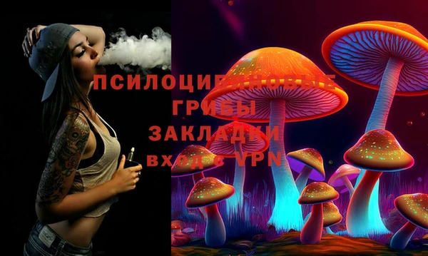 ПСИЛОЦИБИНОВЫЕ ГРИБЫ Армянск