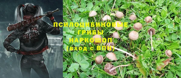 гидра Арсеньев