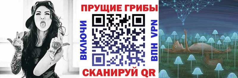 сколько стоит  Опочка  Псилоцибиновые грибы мицелий 